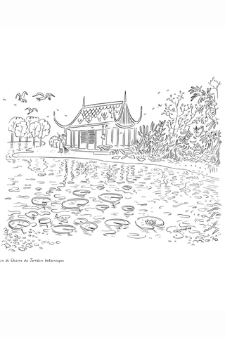 PAPEROLE Coloring Book