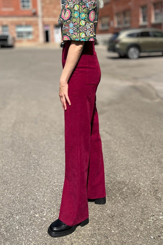 BIRDS OF NORTH AMERICA Pantalon Bloodfool - Mulberry