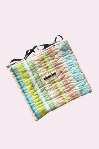 CHARLIE Small Format Book Sleeve - Rainbow