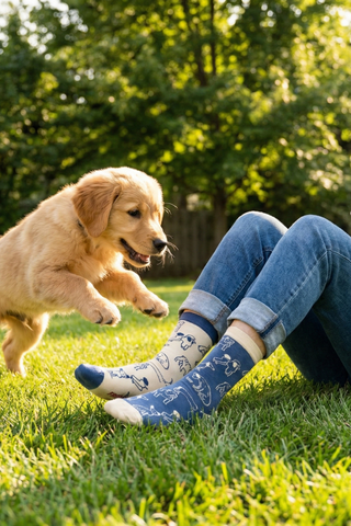 FRIDAY SOCK CO. Chaussettes - Chien TDG