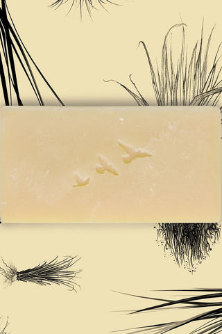 MONSILLAGE Savon - Vétiver