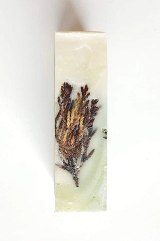 SEQUOIA Savon Cedar