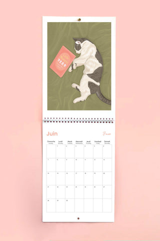 ITSFUNNYHOWWW Calendrier 2026 - Chat