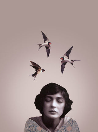 CHÈRE SIMONE Julia James Poster - Birds